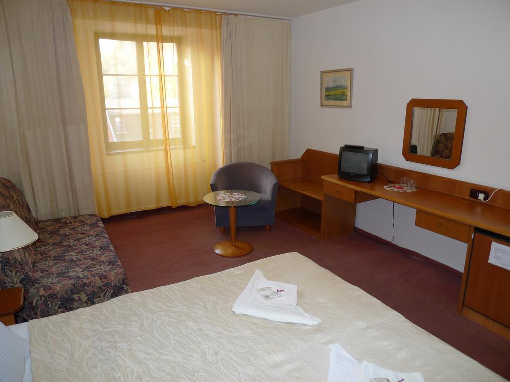 Hotel Prokop 布拉格 客房 照片